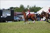 UKPA NC SAT_2805